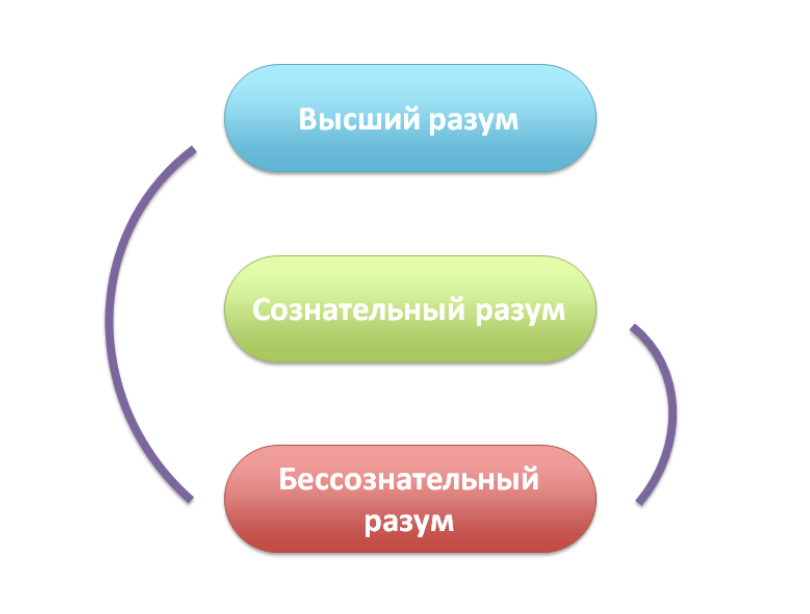 Интеллект 3